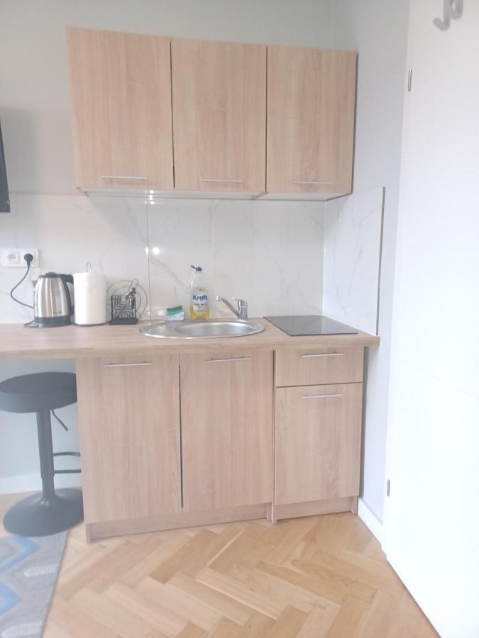 Apartamenty Centrum Lipowa 16 ビャウィストク エクステリア 写真